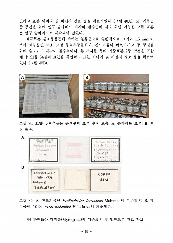 65페이지