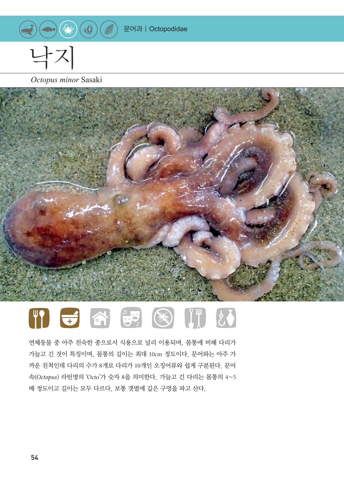 페이지