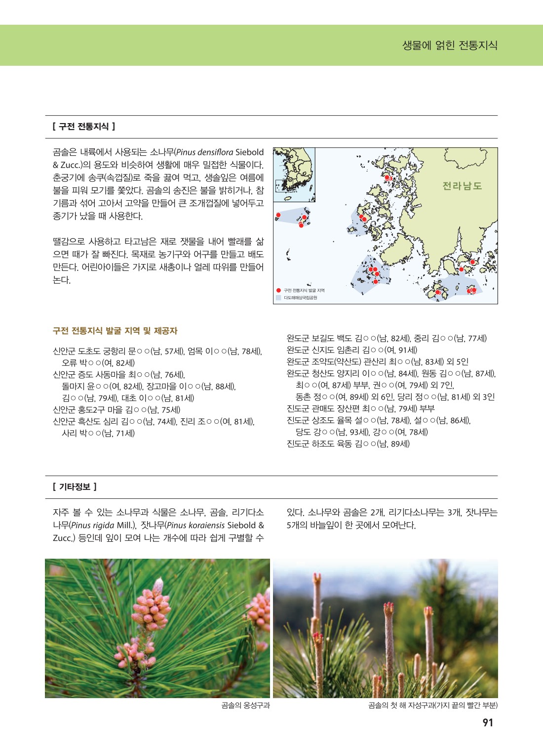 페이지
