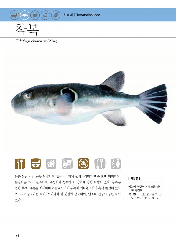 36페이지