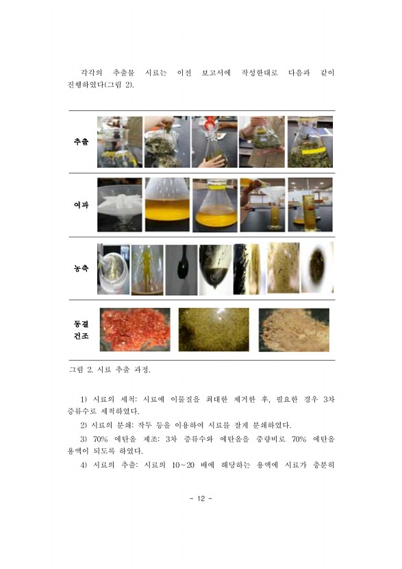 12페이지