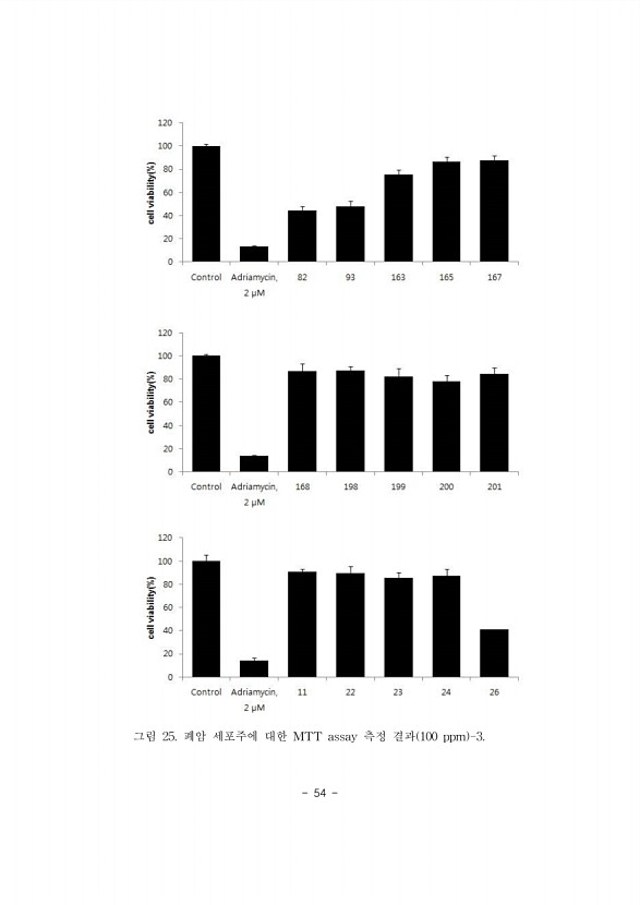 54페이지