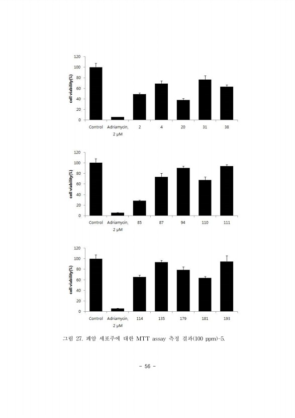 56페이지