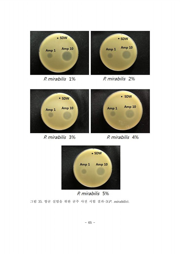 65페이지