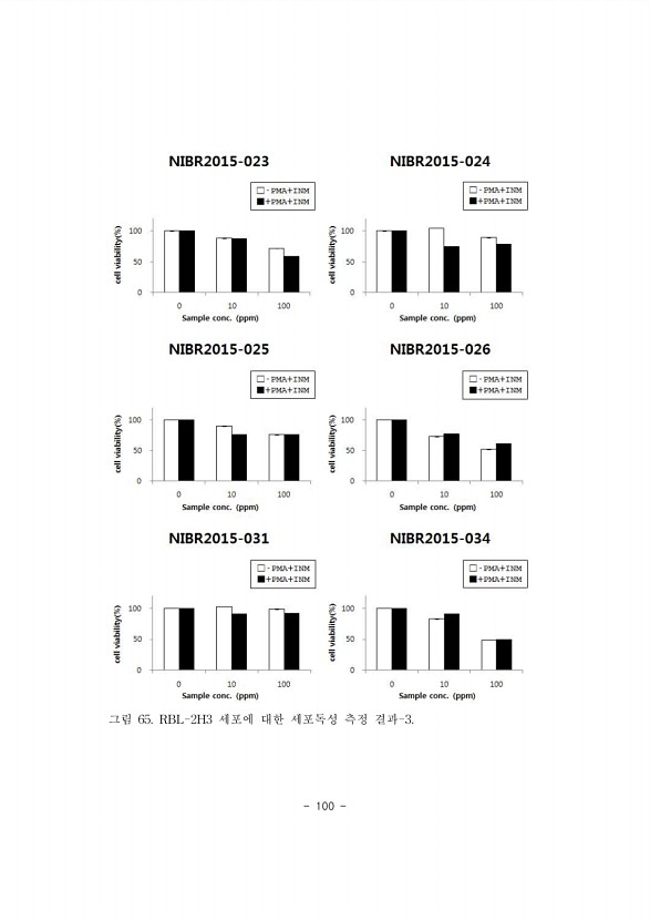 100페이지