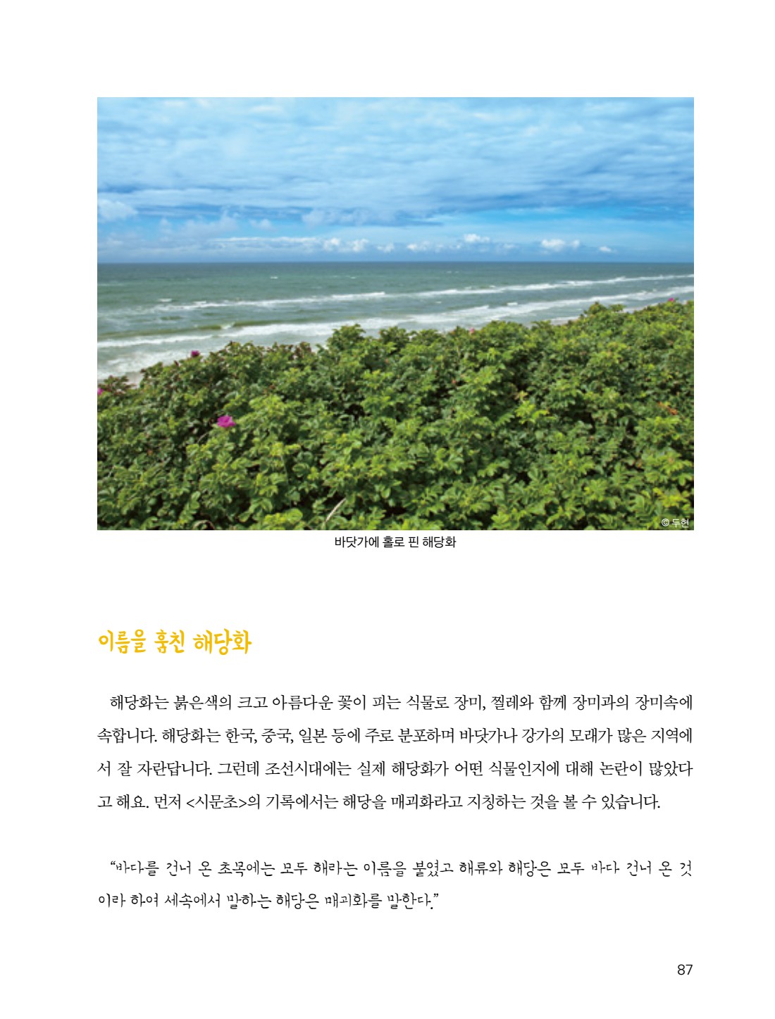 페이지