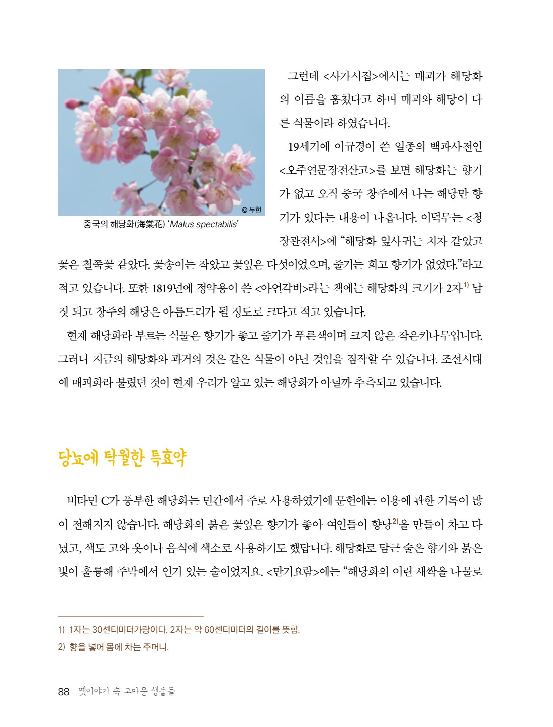 페이지