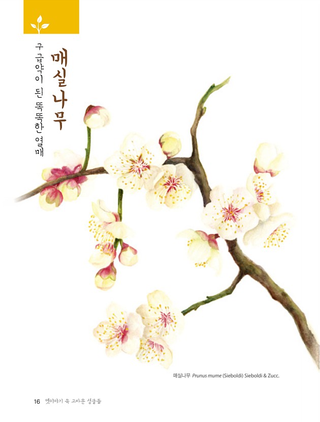 4페이지