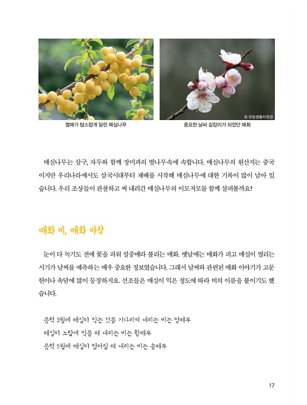 5페이지