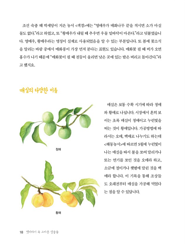 6페이지