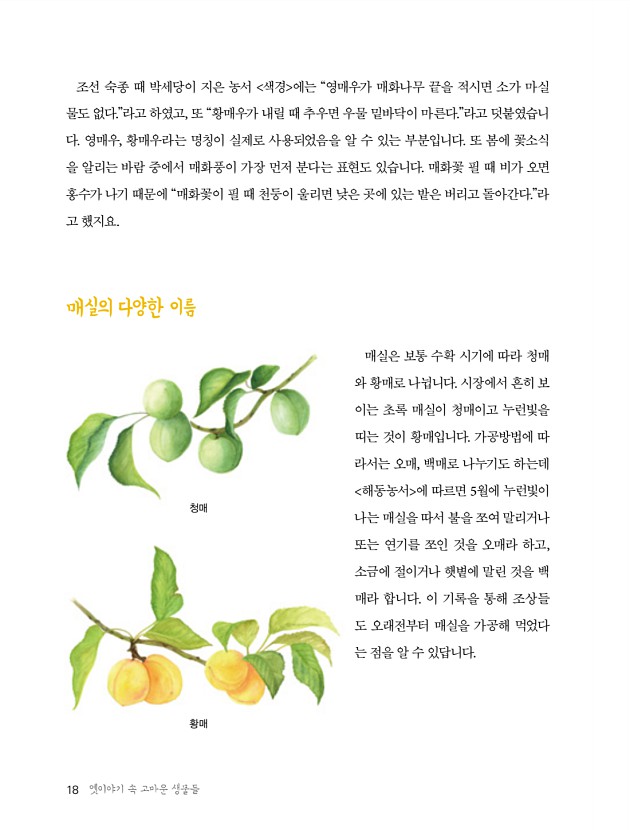 17페이지