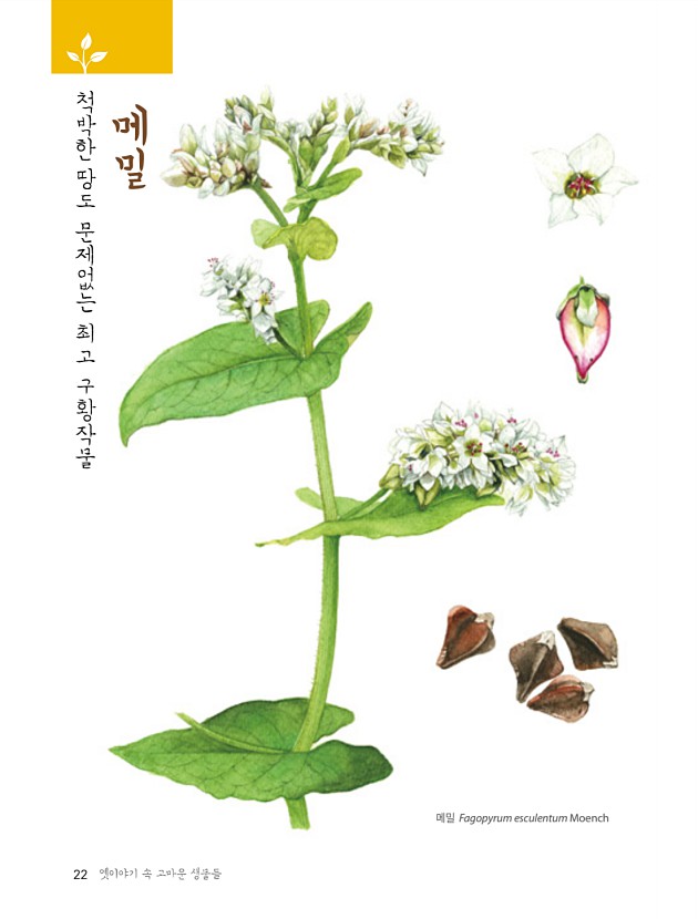 10페이지