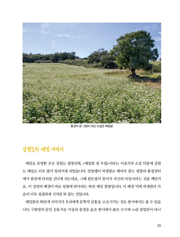 13페이지