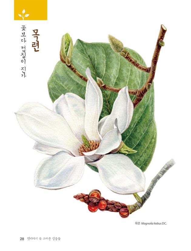 16페이지