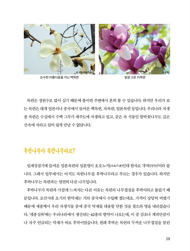 17페이지