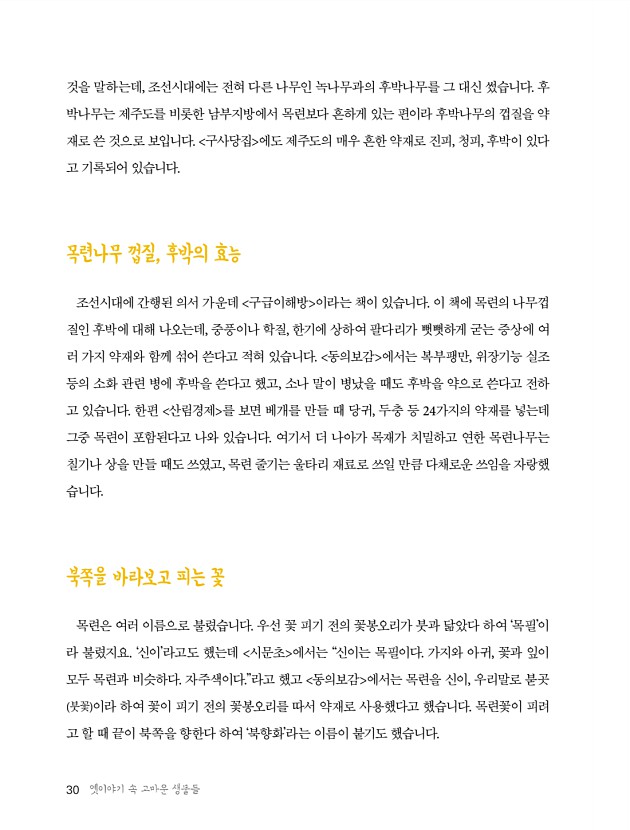 29페이지