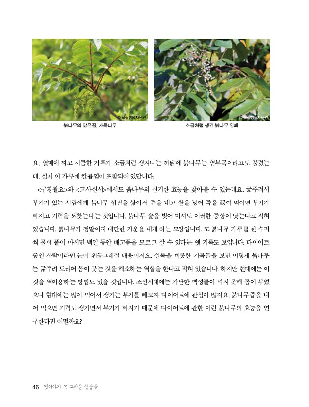 38페이지