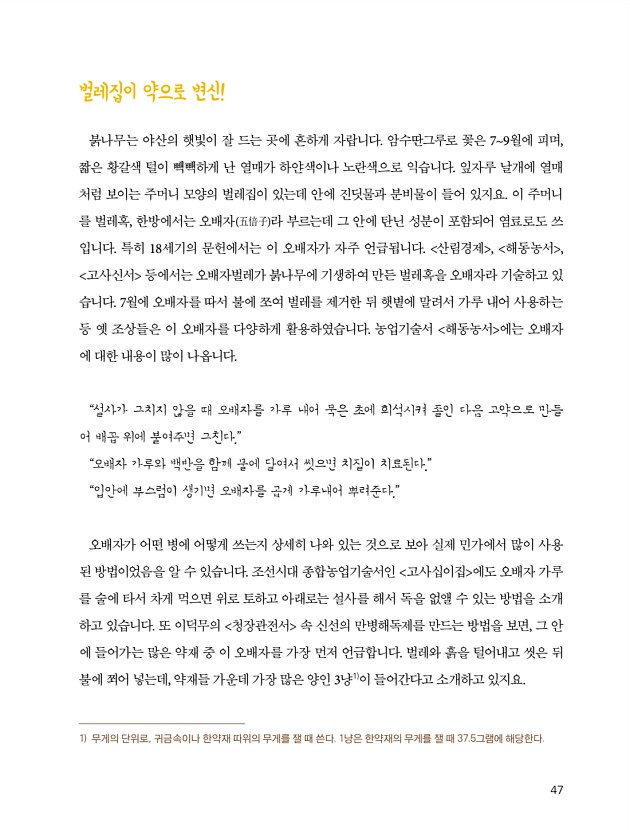 39페이지