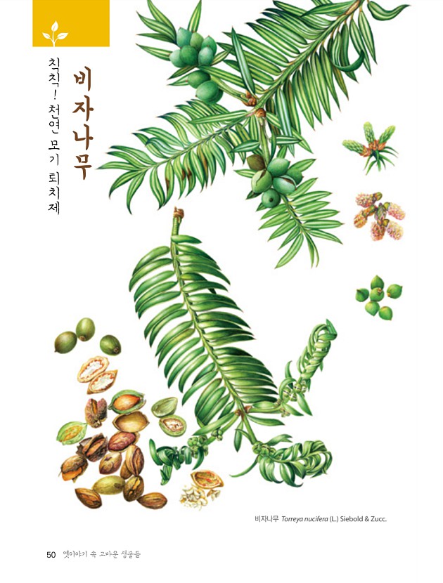 42페이지