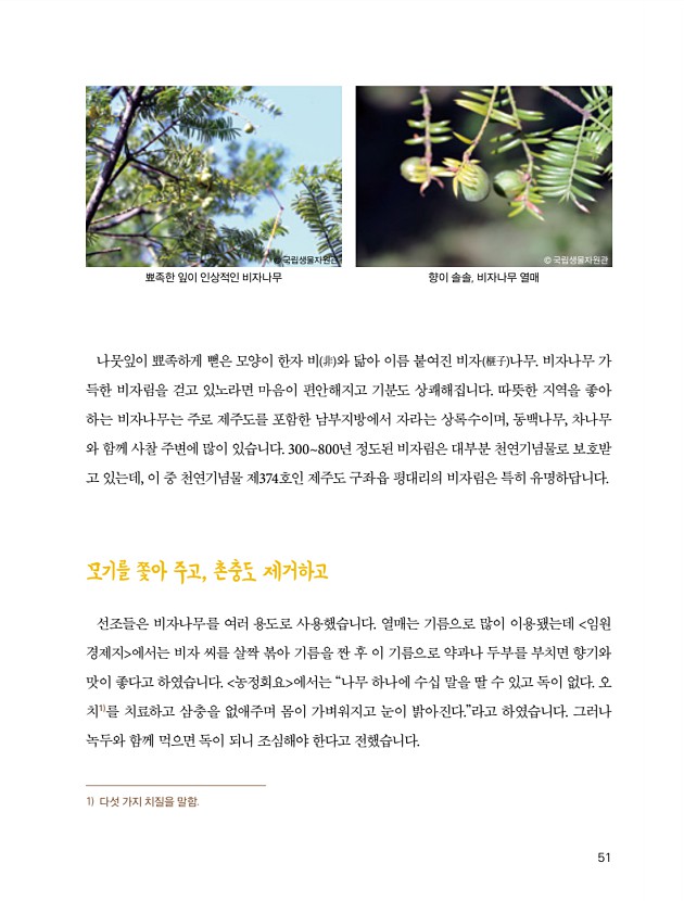 43페이지