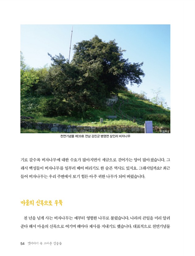 46페이지