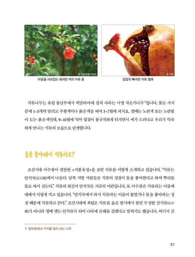 45페이지