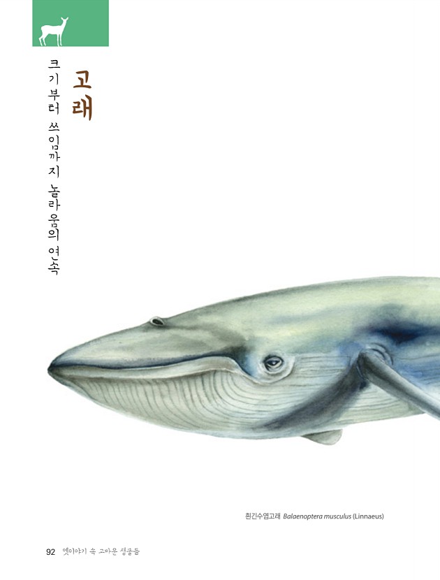 90페이지