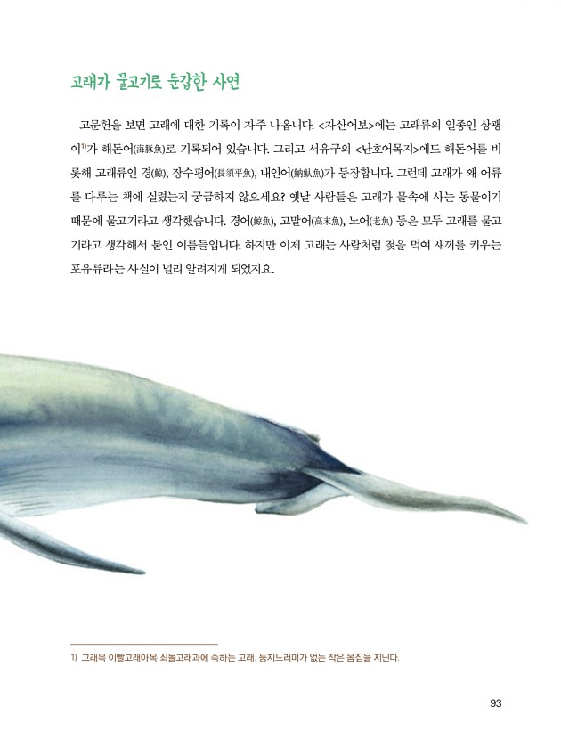 91페이지
