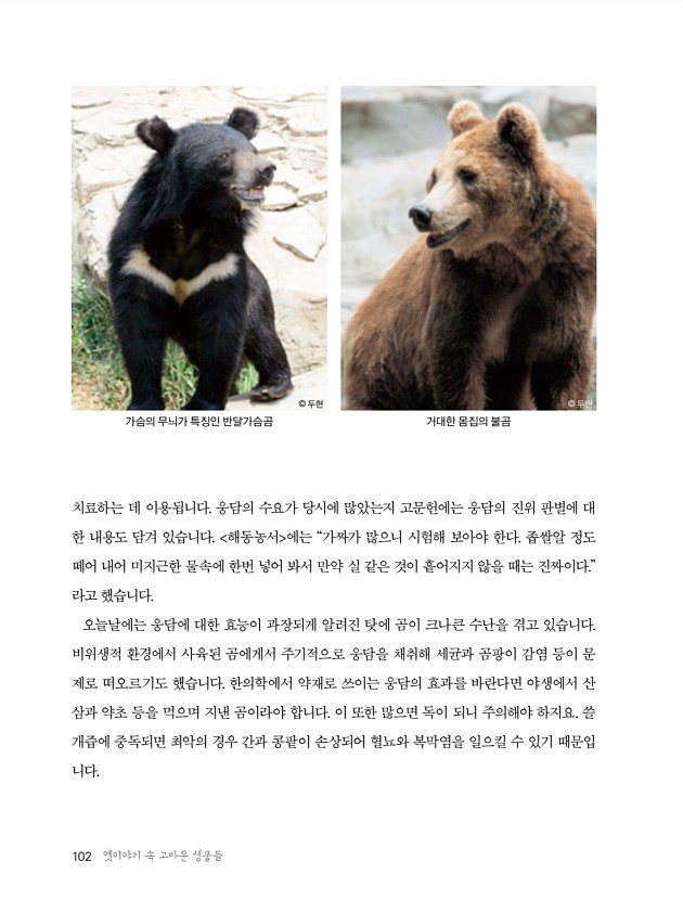 100페이지