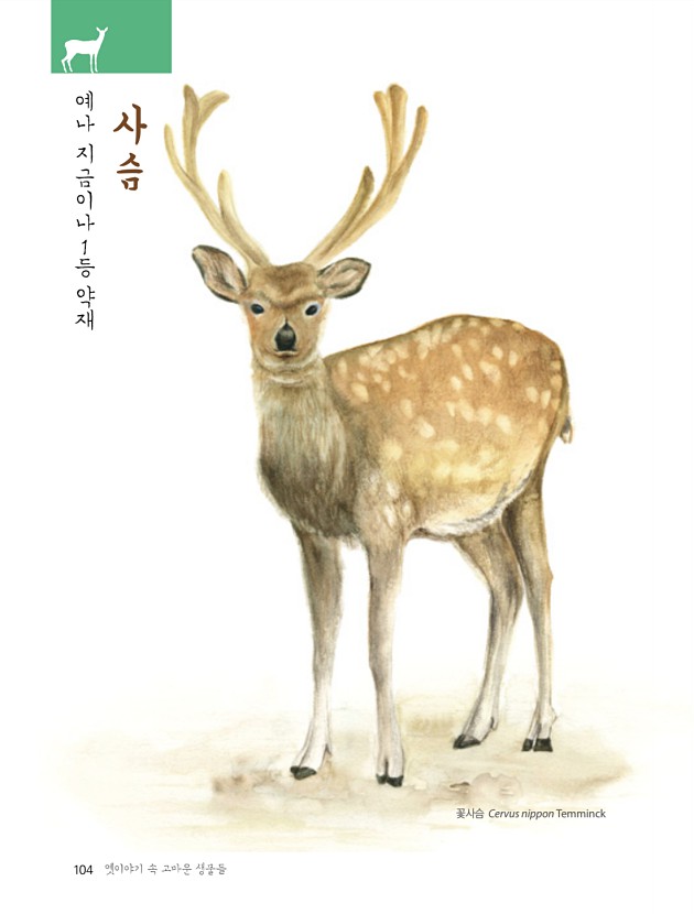 102페이지