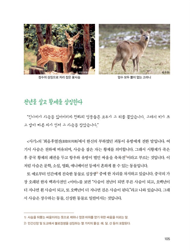103페이지