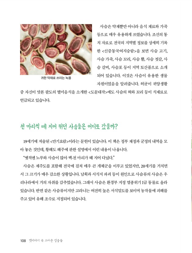 104페이지