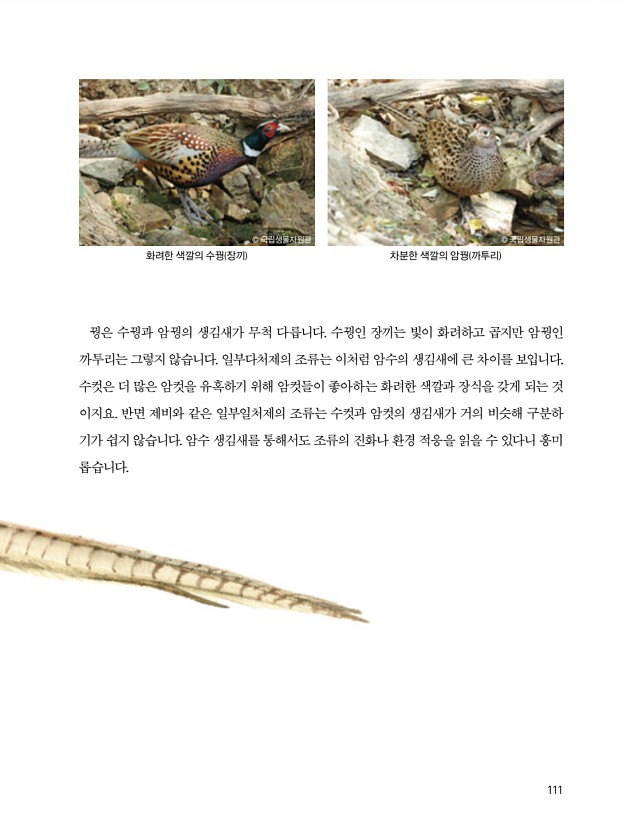 107페이지