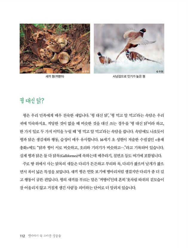 108페이지