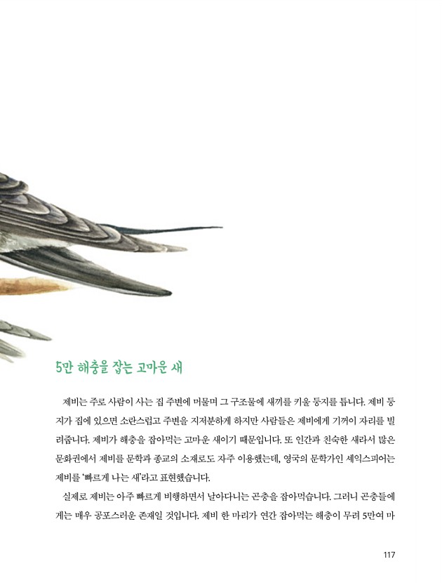 113페이지