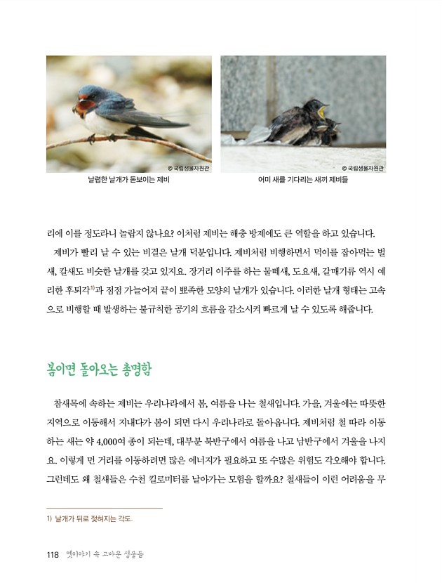 114페이지