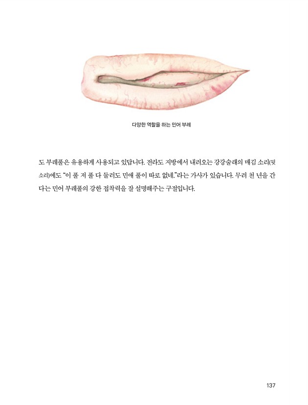 131페이지