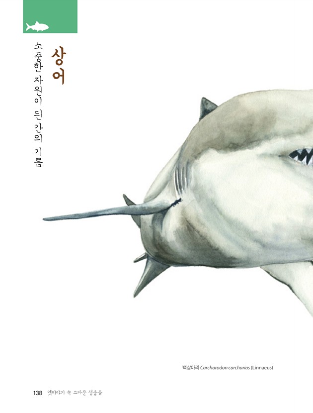 132페이지