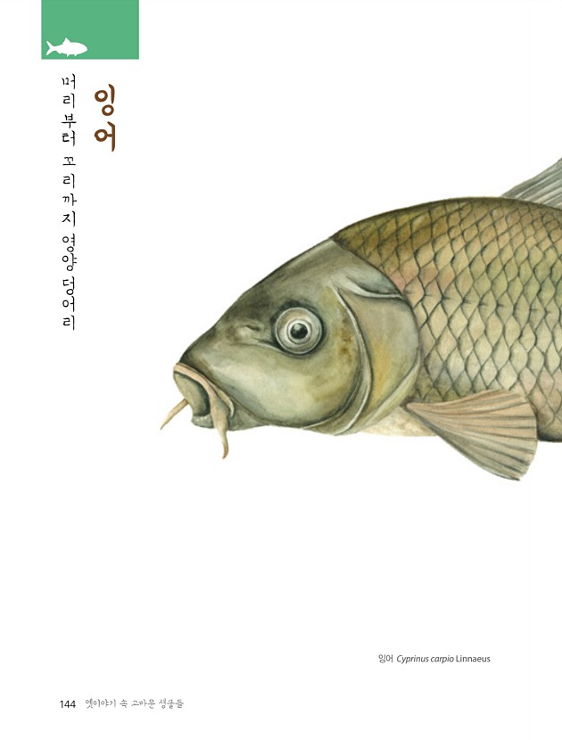138페이지
