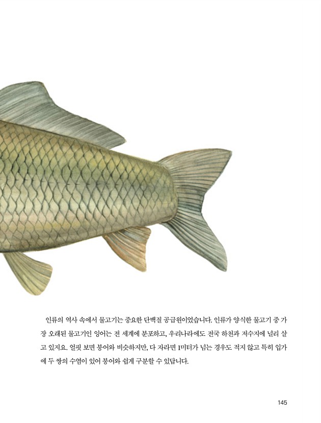 139페이지