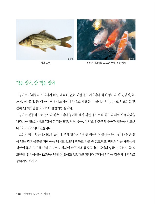 140페이지