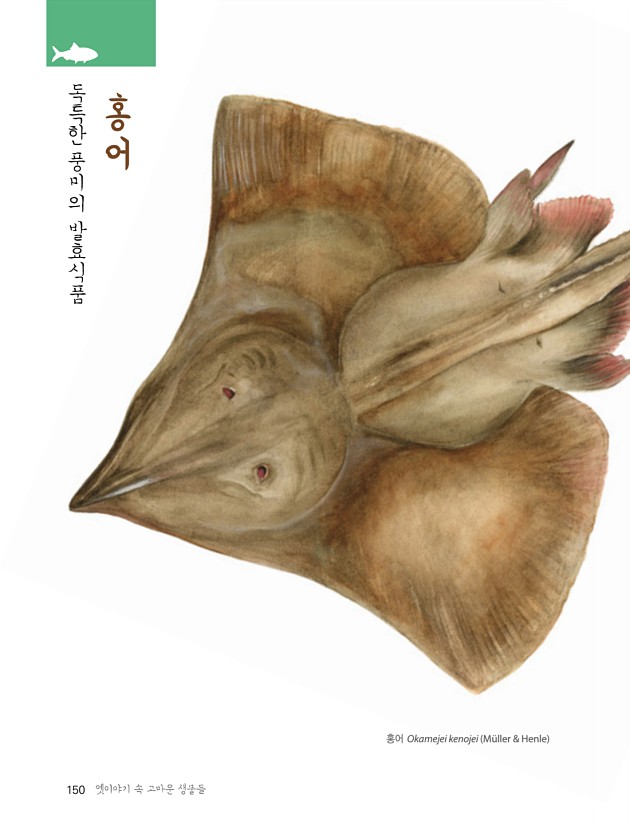 144페이지