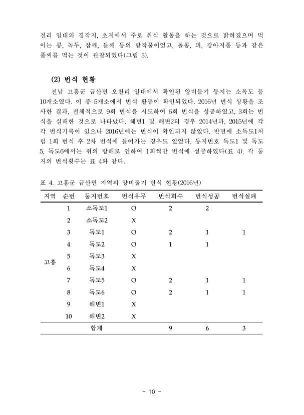 10페이지