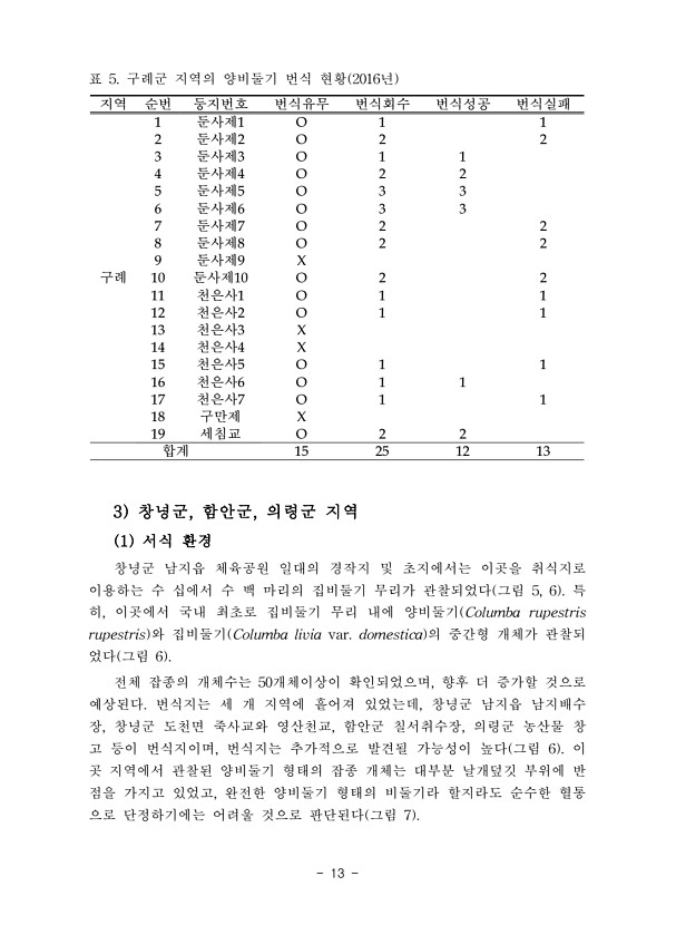 13페이지