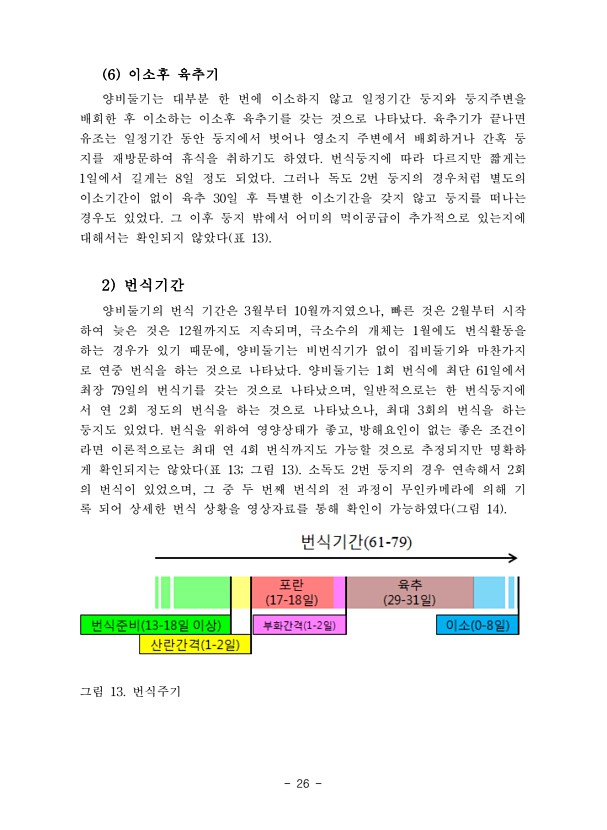 26페이지