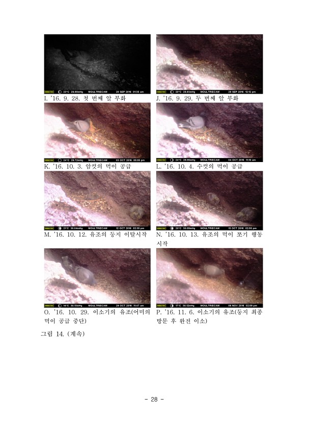 28페이지