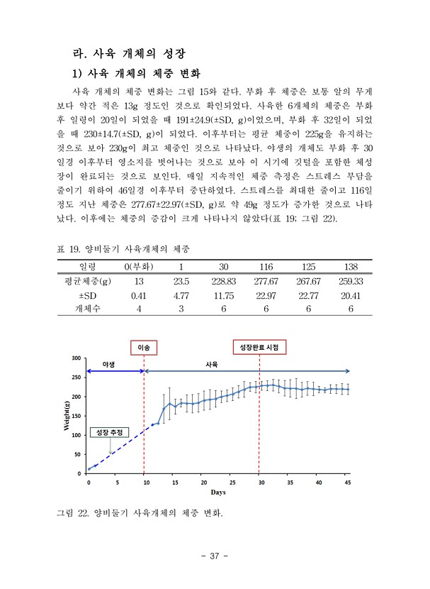 37페이지