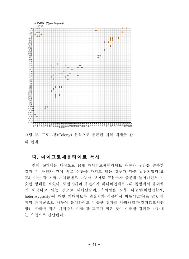 41페이지