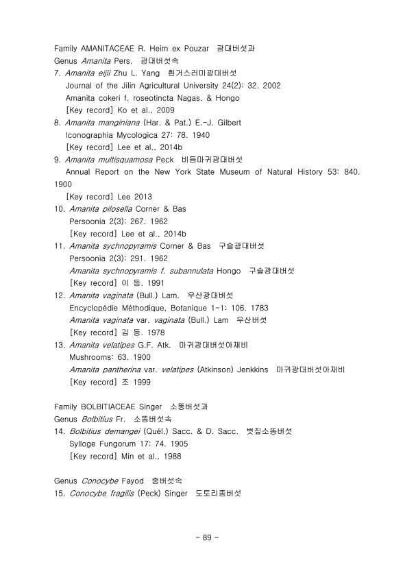 89페이지