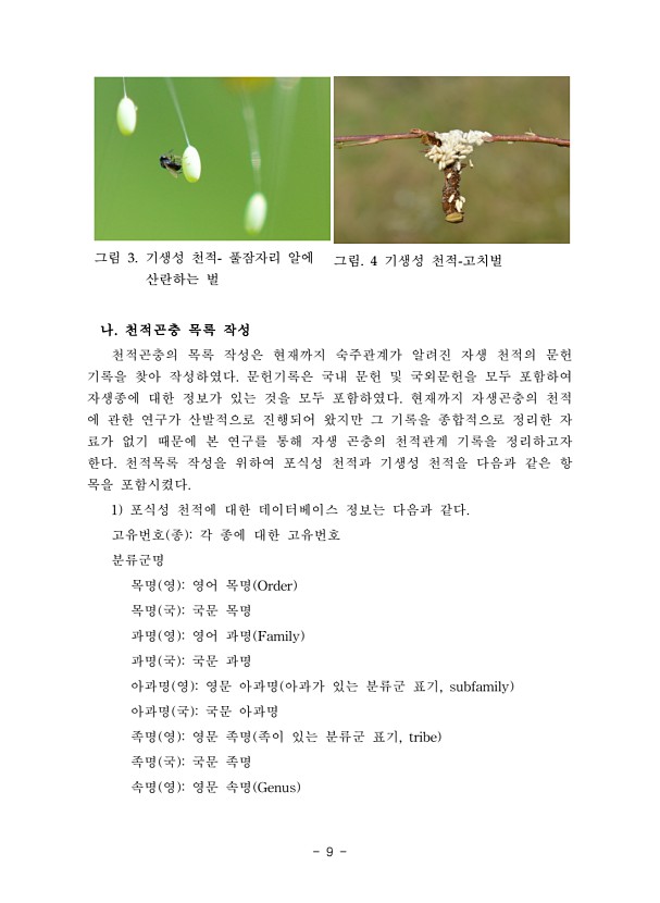 9페이지